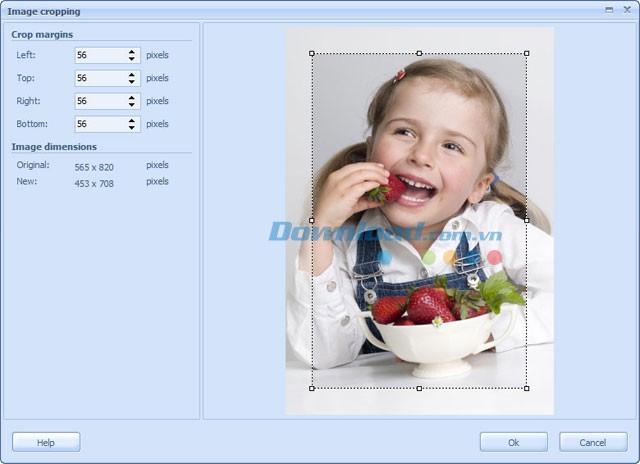 RonyaSoft Poster Printer