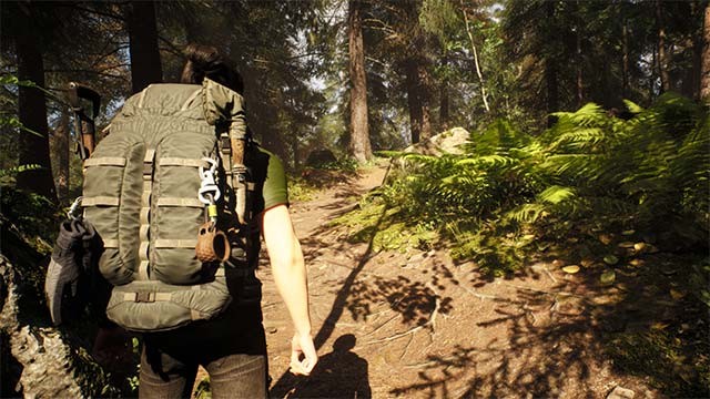 Chơi game Rooted 1 mình hoặc co-op với bạn bè online