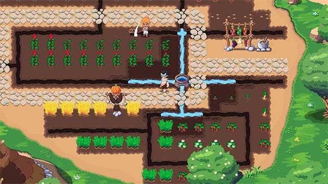 Thu thập và trồng các loại rau củ, thảo mộc