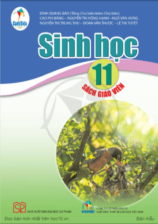 Sách giáo viên Sinh Học 11 Cánh Diều