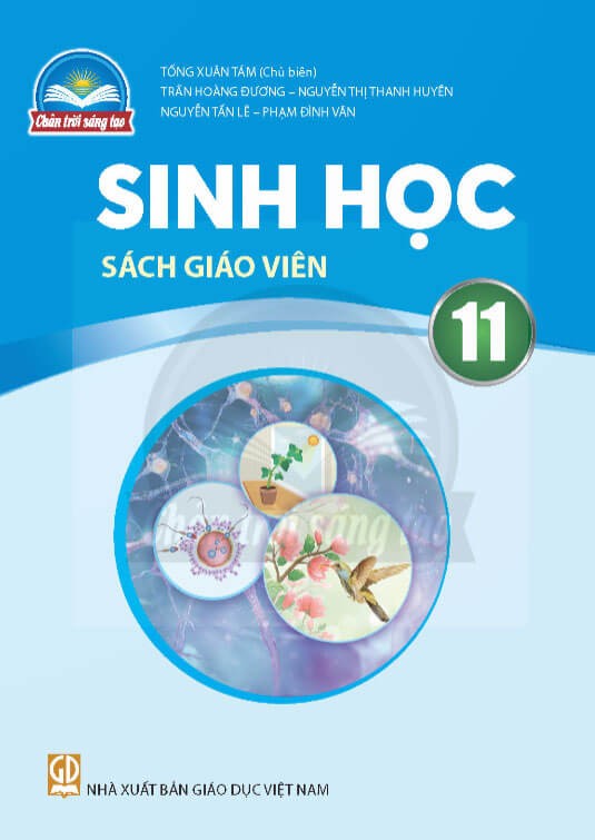 Sách giáo viên Sinh học 11 Chân Trời Sáng Tạo