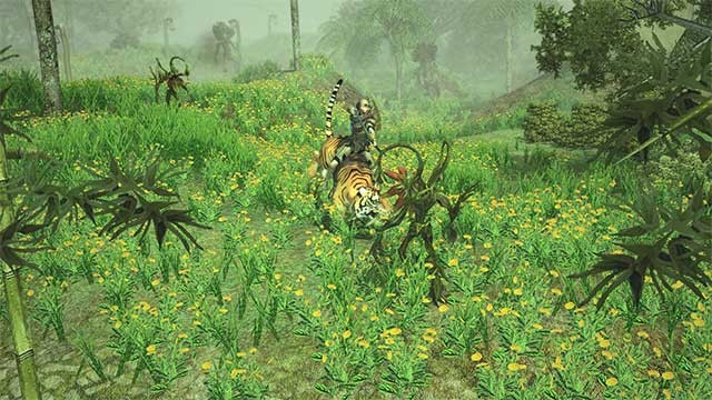 Viết nên huyền thoại của riêng bạn trong Sacred 2 Remaster