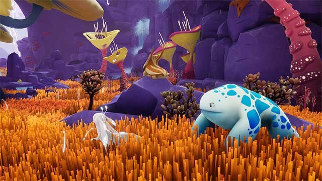 Khám phá một thế giới tuyệt đẹp với vô vàn cuộc phiêu lưu