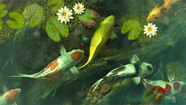 Screen Wonders là kho hình nền động và screensaver 3D chất lượng cao, miễn phí