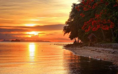 Seaside Wallpaper Collection