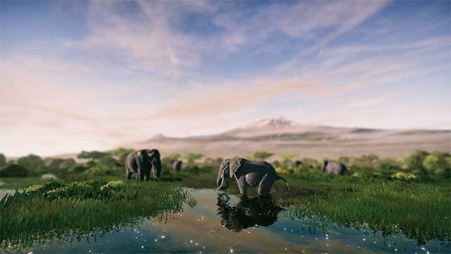 Quan sát và chụp lại những khoảnh khắc ấn tượng của loài voi