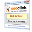 Show My IP - Find Your Public IP Address | SEOCLICK