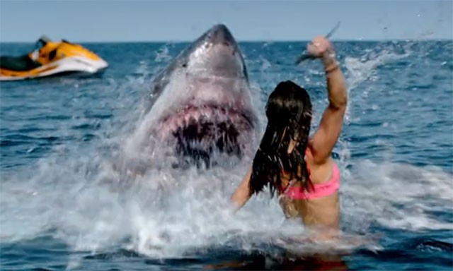 Cuộc chiến sinh tồn giữa con người và cá mập khát máu - hung thần biển cả