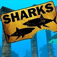 Sharks Demo - Game Cá Mập Săn Mồi Miễn Phí