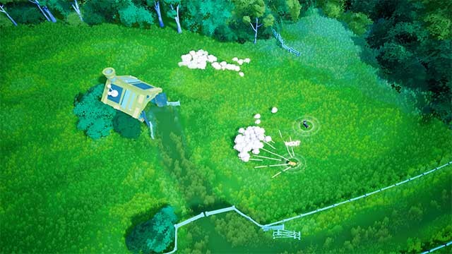 Cùng những chú chó chăn cừu dẫn đàn cừu đi qua những cánh đồng rộng lớn