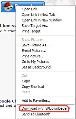 SKDownloader For Firefox