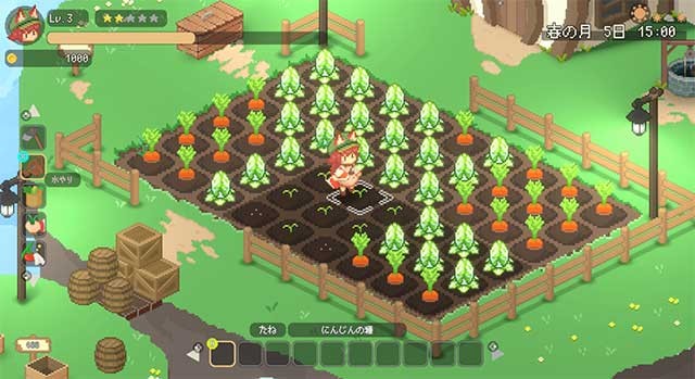 Có rất nhiều loài rau củ mà bạn có thể trồng và lai tạo ra giống mới