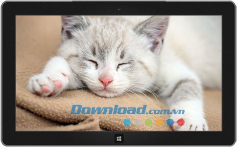 Sleepy Kittens theme