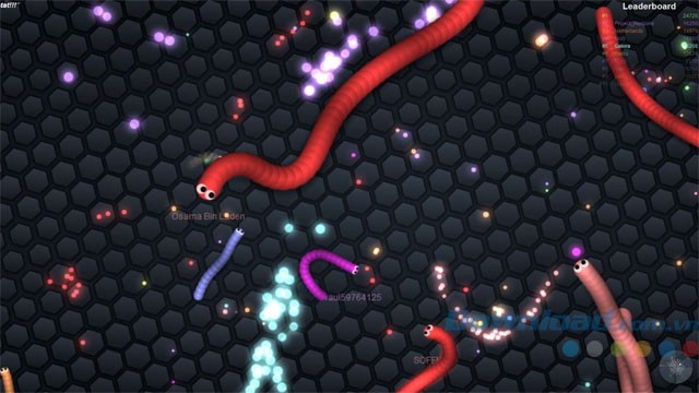 Game rắn săn mồi online