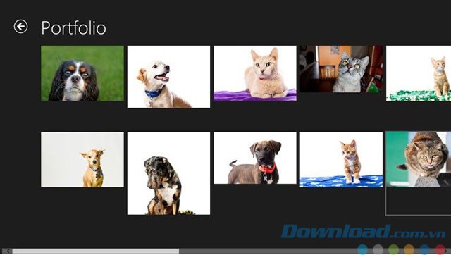 Xem hình ảnh trên SmugMug