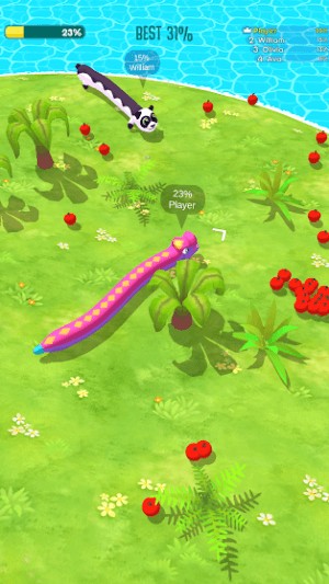 Phát triển rắn của bạn