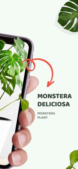 Nhận biết các loài cây