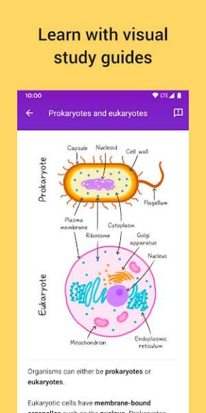 Hướng dẫn trực quan