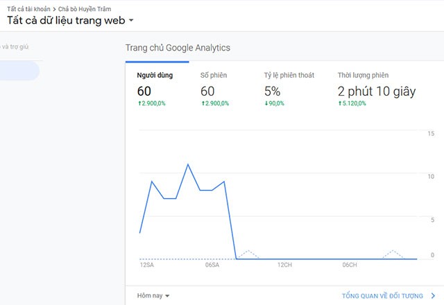 Phần mềm tăng traffic cho website
