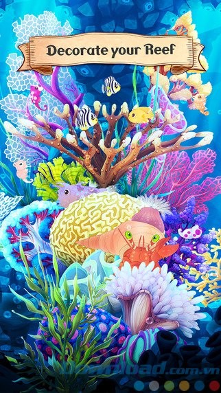 Trang trí khu bảo tồn