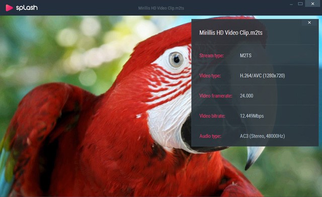 Giao diện xem thông tin video của Splash