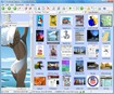 ST Thumbnails Explorer 1.5 Beta 2 - Công cụ xem thumbnail