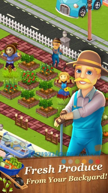 Trồng rau sạch trong khoảng sân nhà mình