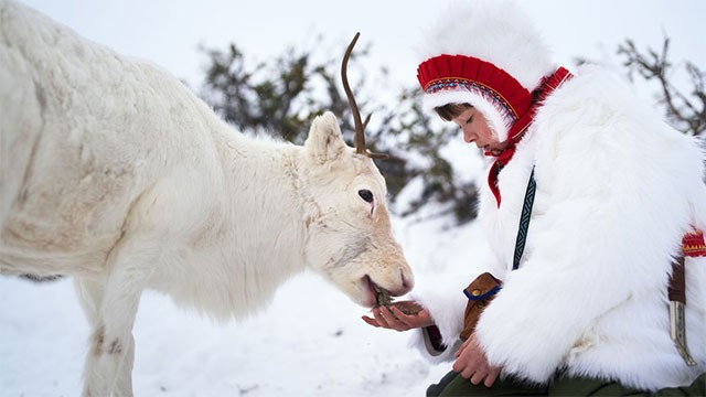 Stolen tái hiện cuộc chiến để bảo vệ di sản và kế sinh nhai của tộc người Sámi
