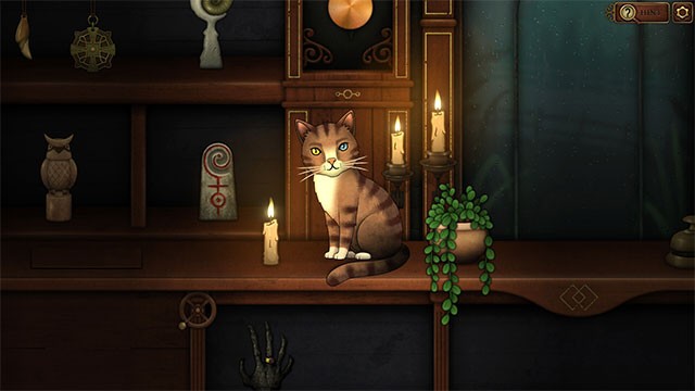 Bối cảnh là vài năm sau các sự kiện diễn ra trong game Strange Horticulture