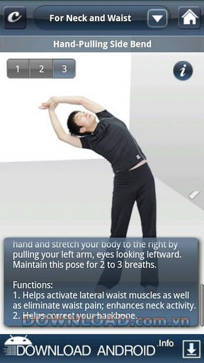 Stretch Exercises