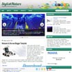 StylishNature - Mẫu Template Chủ Đề Thiên Nhiên