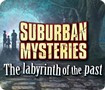 Suburban Mysteries: The Labyrinth of the Past - Cứu anh trai bị bắt cóc