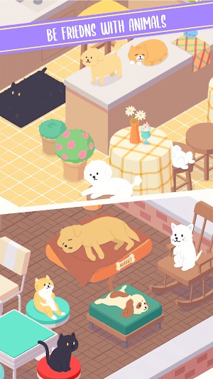 Làm quen với những người bạn động vật đáng yêu