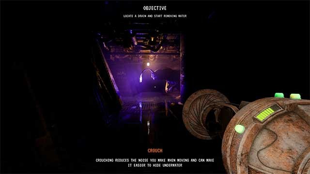 Các sinh vật biển rất thông minh, thích nghi nhanh và nguy hiểm