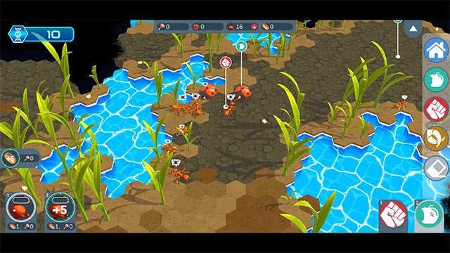 Áp dụng chiến thuật thông minh để xây dựng một siêu thuộc địa kiến mới