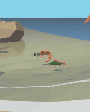 Bắt cá để kiếm thức ăn