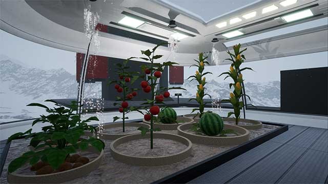 Chế tạo máy móc, xây dựng cơ sở vật chất và trang trại