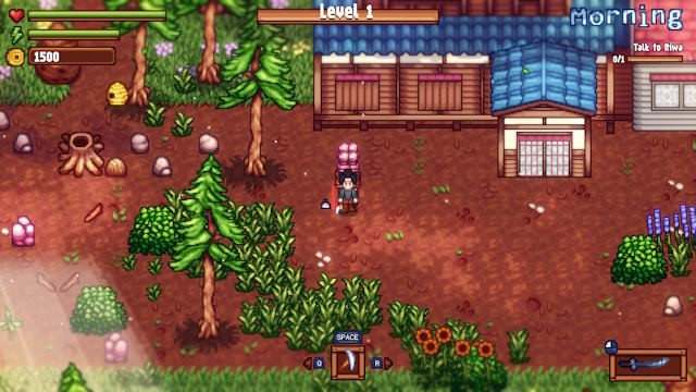 Các hoạt động trong ngày được chia theo từng giai đoạn