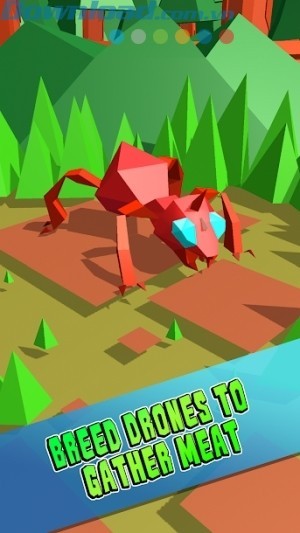 Game côn trùng xây tổ