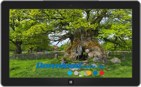 Swedish Spring theme