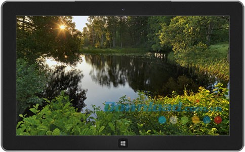 Swedish Summer theme