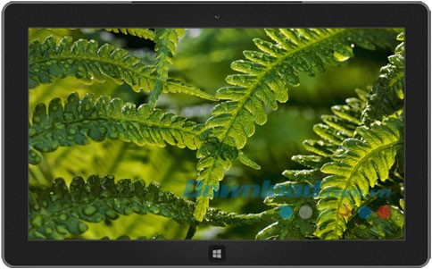 Swedish Summer theme