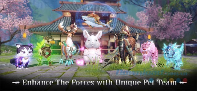 Tăng cường lực lượng với team thú cưng độc đáo