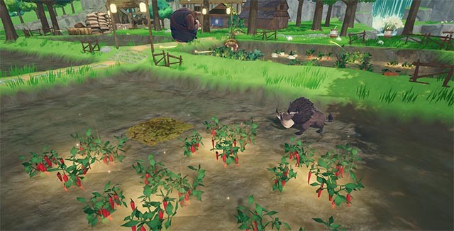 Tận hưởng cuộc sống làng quê yên bình, làm ruộng và quản lý nhà trọ ấm áp