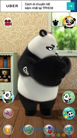 Tương tác và trò chuyện với Paul