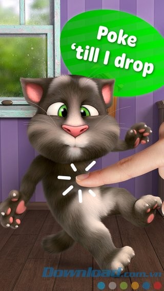 Tương tác với mèo Tom