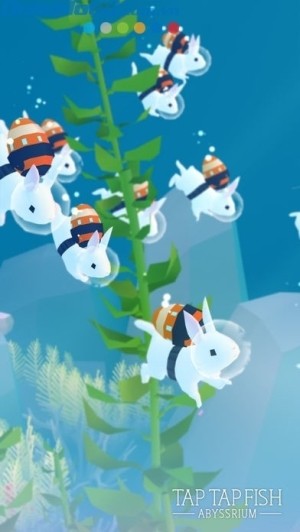 Các loài cá lạ siêu đáng yêu