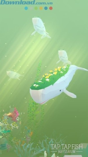 Nâng cấp đá, san hô để tăng sức sống