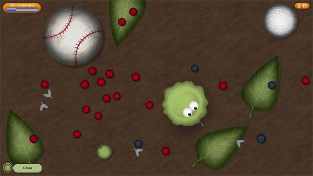 Ăn mọi thứ có kích thước nhỏ hơn mình