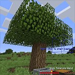 Template Wands Mod Minecraft: Xây Dựng Nhanh Chóng, Tiết Kiệm Thời Gian